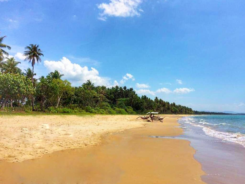 Jurisu Resort San Vicente  Bagian luar foto